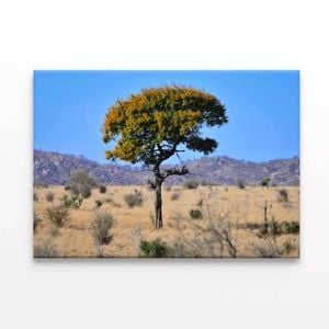 Tree Standing In the Grasslands  Print 100% Australian Made 120 x 90cm  (Stretched)