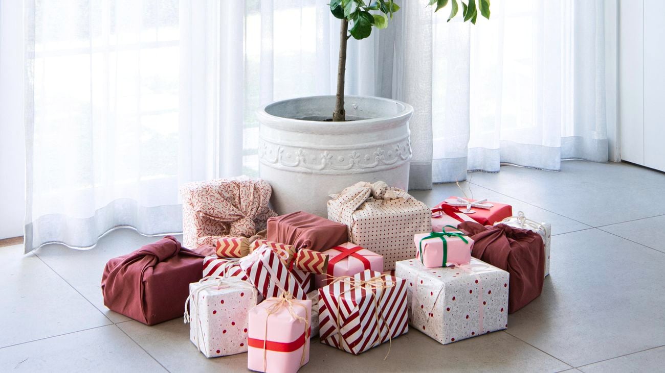 White pot with lemon tree, surrounded by gifts.