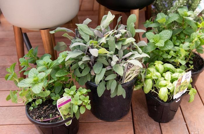 DIY -Step 1 - Prepare your pots - How to design a herb garden.jpg