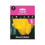 Bloomin Bulbs Tulip Crystal Star - Tulipa hybrid - 5 Pack