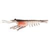 Nomad Design Live Ops Switcher Shrimp 4.25" Soft Plastic Fishing Lure Brown Flasher