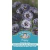 Mr Fothergill's Amazing Grey Poppy Seeds