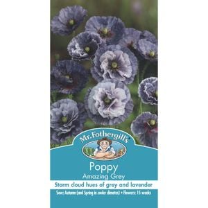 Mr Fothergill's Amazing Grey Poppy Seeds