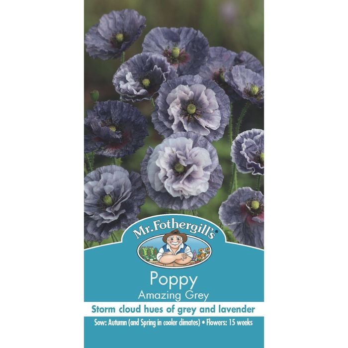 Mr Fothergill's Amazing Grey Poppy Seeds