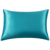 Gioia Casa 100% Pure Mulberry Silk Pillowcase - Teal