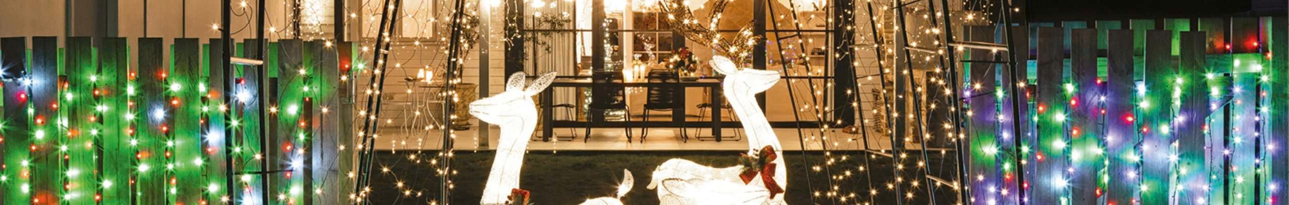 Image of front yard with lights for Christmas 