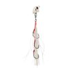 Vexed Bottom Meat Junior 60g Hybrid Fishing Jig Bait Fishing Lure Albino Glow