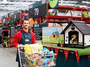 Hartman 385 x 270mm Large Pet Door For Patio And Sliding Doors Bunnings Australia
