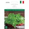 Johnsons Mint Herb Seeds