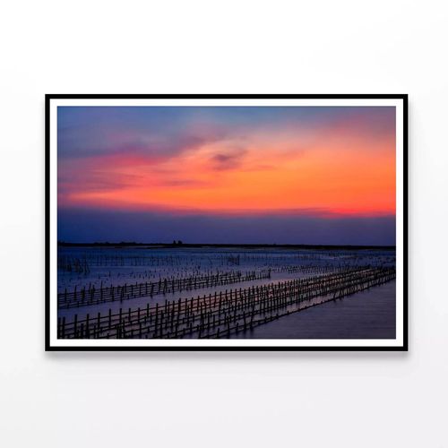 Row Oyster Field Sea at Sunset Print 100 Australian Made 120x90cm
