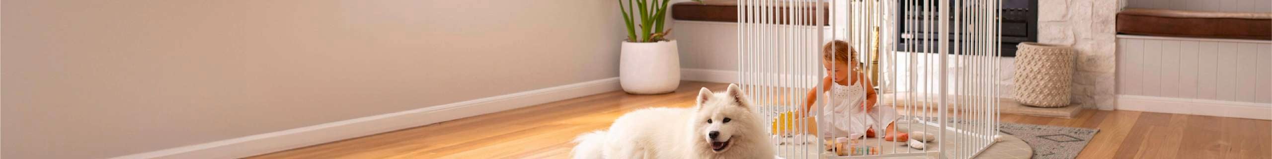 White dog laying in front of Perma child fencing watching out for the child