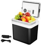 Advwin 24L Mini Fridge Portable Car Fridge Small Refrigerator Black