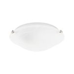 Luce Bella 30cm Alabaster Oyster Light