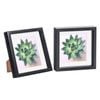 Nicola Spring 2 Piece 8 X 8 3d Shadow Box Photo Frame Set - Craft Display Picture Frame With 6 X 6 Mount - Black