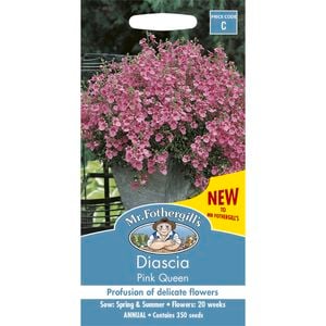 Mr Fothergill's Diascia Pink Queen