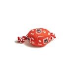 The Stubby Club St. George Illawarra Dragons NRL Themed Pet Chew Toy