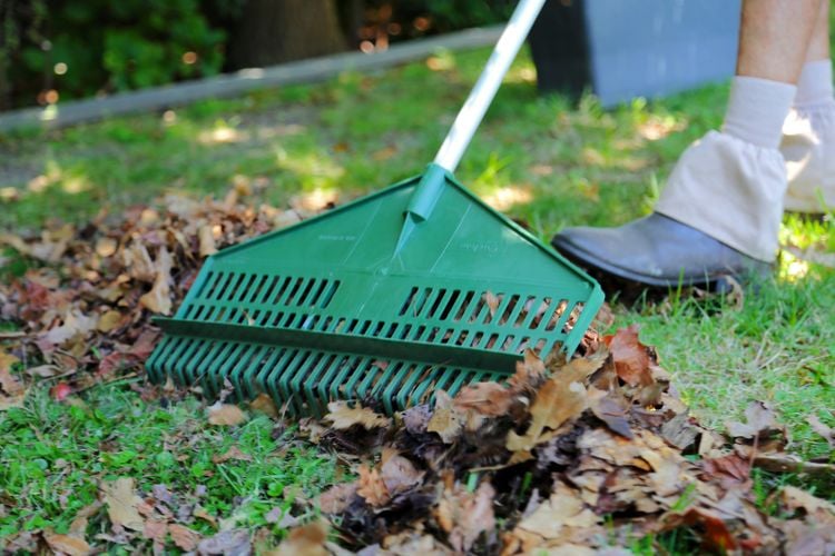 Raking up leaves with a Cyclone rake