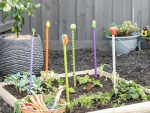 Garden stakes in a vegetable garden