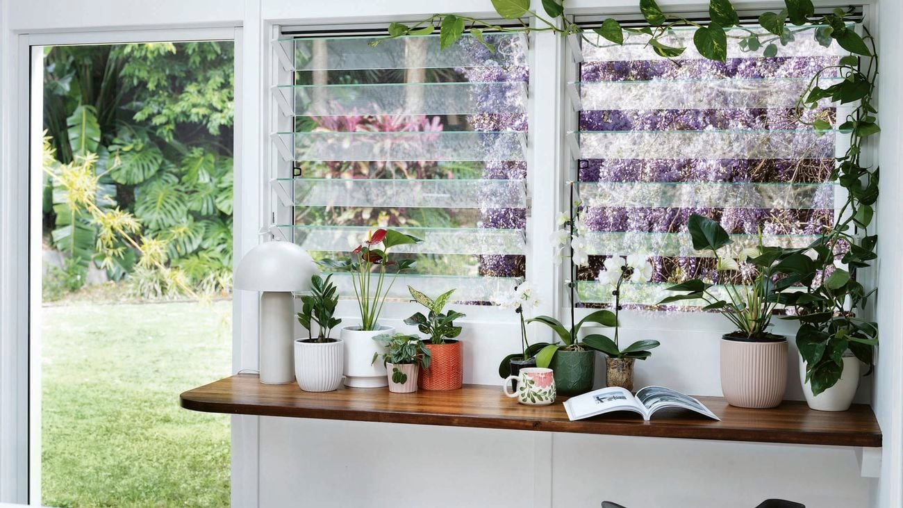 Plants in soft pink and neutral pots sit on a wooden bench in front of a glass slatted window