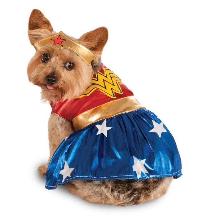 DC Comics Superhero Wonder Woman Pet Dogs Costume - Size S