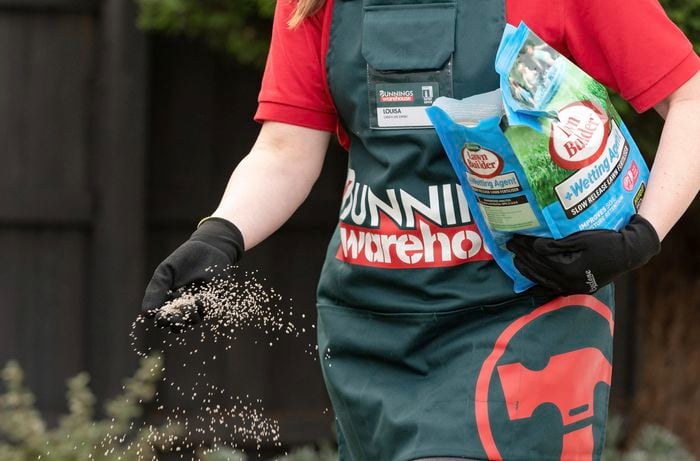 A person sprinkling granules of fertiliser on a lawn