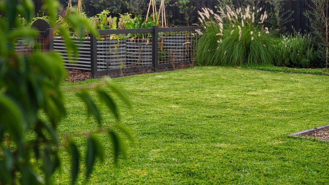 beautiful green lawn with garden bed in the distance
