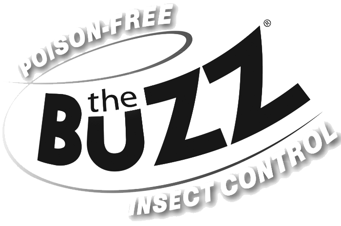 The Buzz