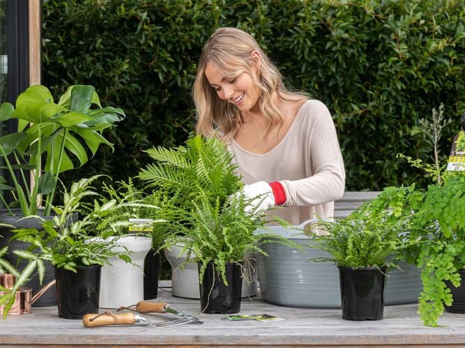 ladies planting assorted plants in silver pot