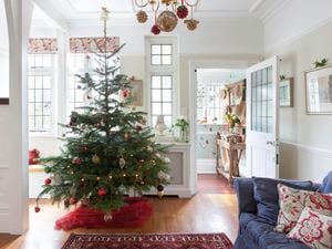 A decorated Christmas tree in a living room