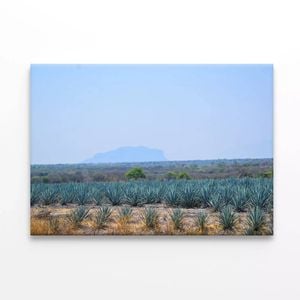 Field Of Plants with a Mountain  Print 100% Australian Made 150 x 100cm  (Stretched)