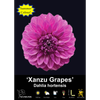 Yarra Valley Bulbs Xanzu Grapes - 1 Pack