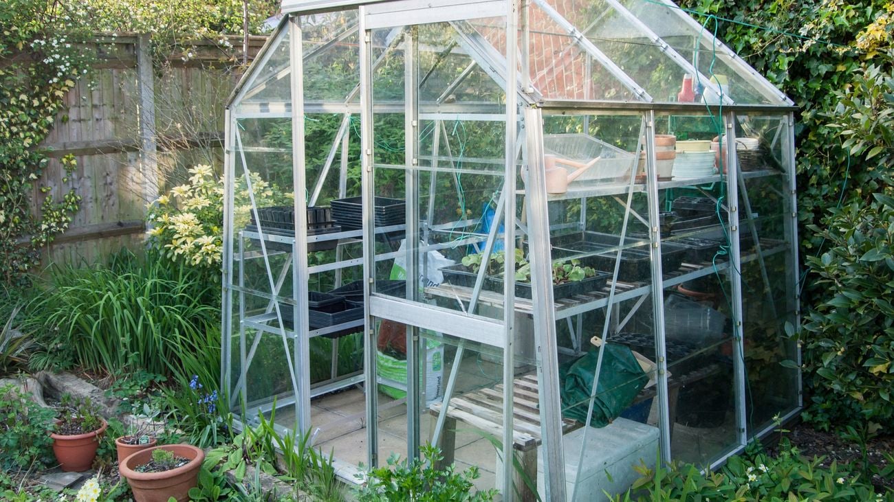 Greenhouse built in a backyard.