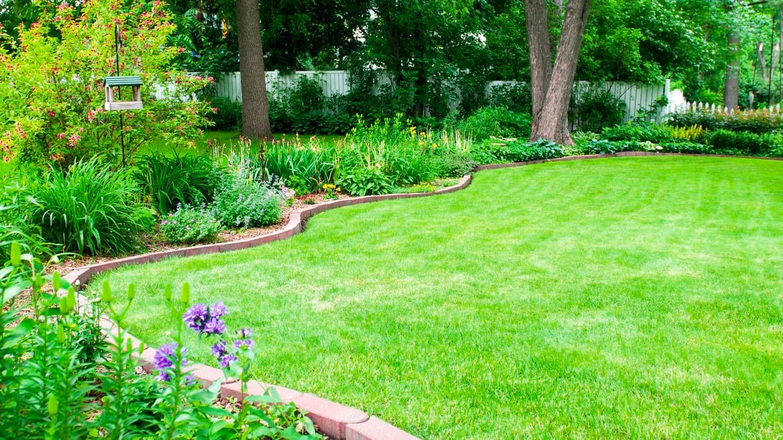 wide image of lawn