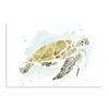 Artey | Watercolor Sea Turtle Study I - Stretched Canvas - Stretched Canvas - 80 x 100cm