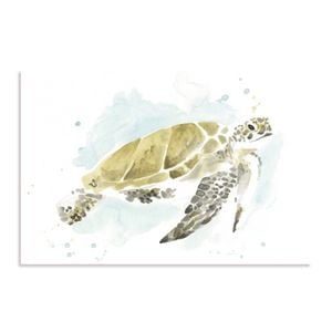 Artey | Watercolor Sea Turtle Study I - Stretched Canvas - Stretched Canvas - 80 x 100cm