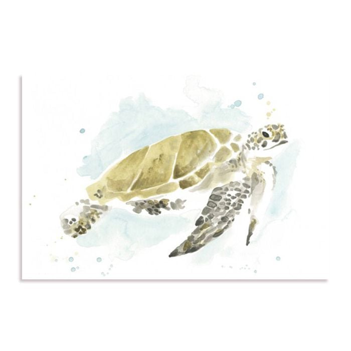 Artey | Watercolor Sea Turtle Study I - Stretched Canvas - Stretched Canvas - 80 x 100cm