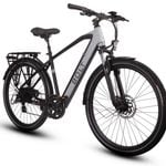 Rilu Bolt E-Bike Electric Bike
