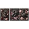 3pcs Very Elegant Black Swan Print 100% Australian Made 3 x 40x60cm (Metal Print)