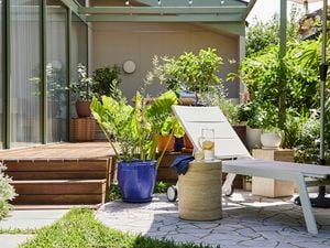 An outdoor patio with a white sunlounge next to a small side table holding a jug and a glass. A wooden deck and sliding glass doors sit on the left with a dense garden and lush foliage on the right.