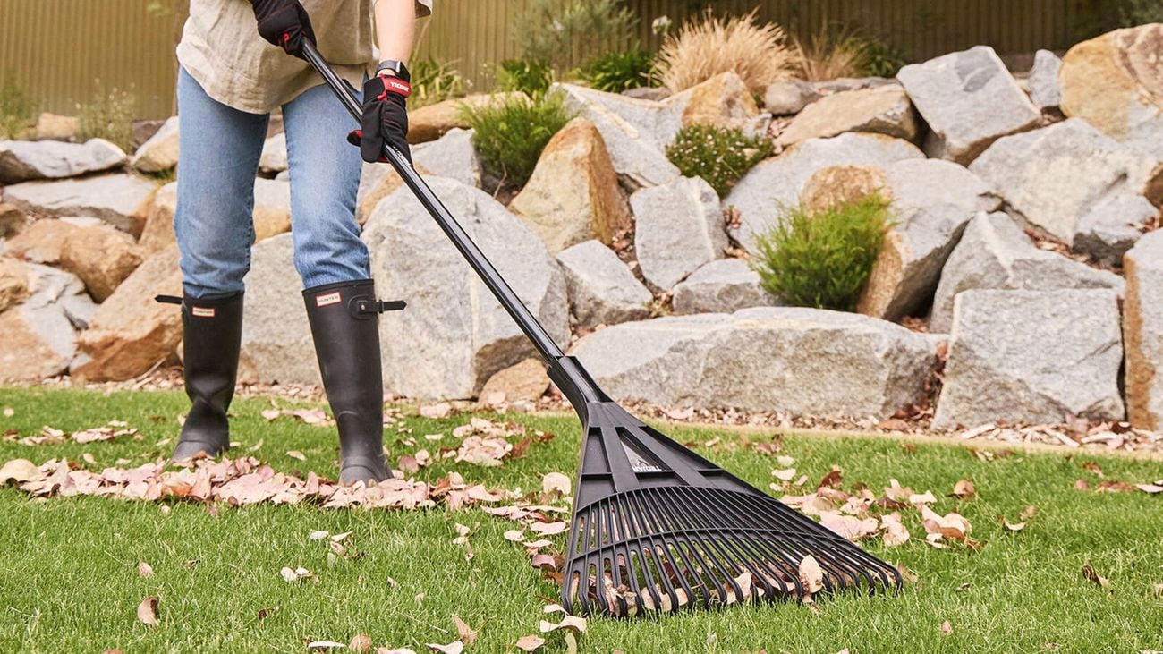 A woman wearing gumboots, jeans and a beige shirt rakes leaves on a lawn using a large black rake with a rock garden and a fence in the background.