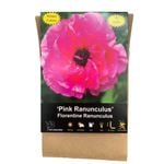 Yarra Valley Bulbs Ranunculus Florentine Pink