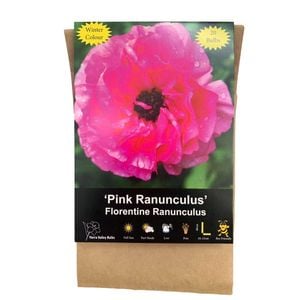 Yarra Valley Bulbs Ranunculus Florentine Pink