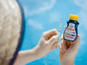 Man holding testing kit for pool 