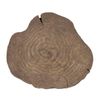 Tuscan Path 300-350 x 35mm Brown Log Round Stepping Stone