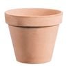 Northcote Pottery 17cm Italian Terracotta Antique Pot