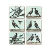 Cinnamon Cork Backed Coasters Set of 6 Magpie Song
