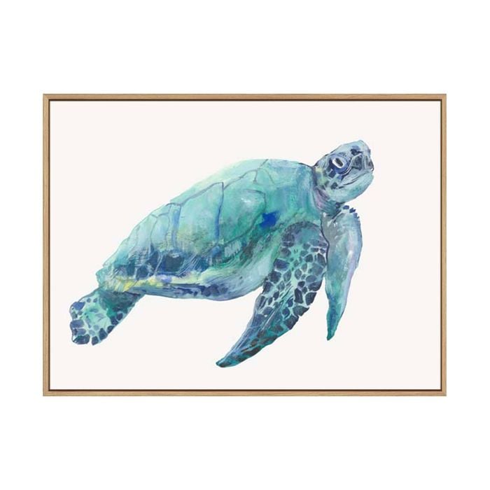 Artey | Blue Great Sea Turtle I - Framed Canvas - Natural Frame - 60 x 80cm