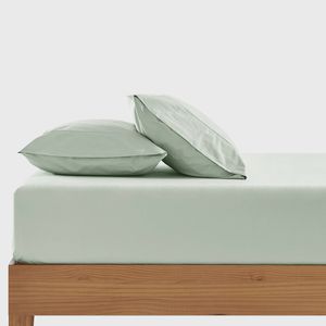 Dreamaker 300TC Cotton Percale Combo Fitted Sheet Set Sage King Single Bed