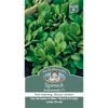Mr Fothergill's Seed Spinach Andromeda F1 Hybrid