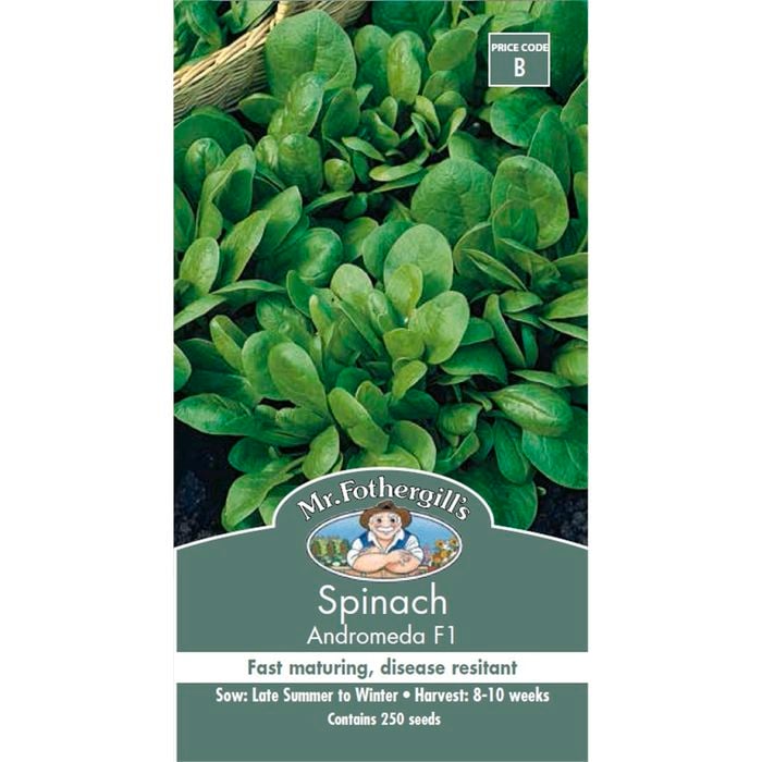 Mr Fothergill's Seed Spinach Andromeda F1 Hybrid